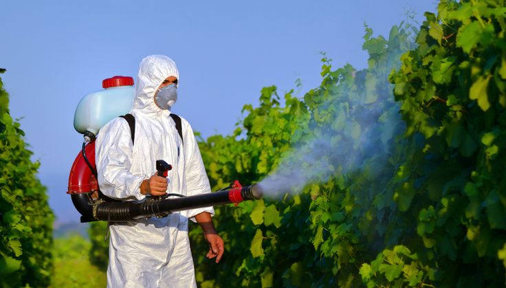 Dış alan ilaçlama uygulaması, Şirinevler böcek ilaçlama hizmeti