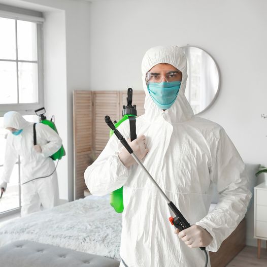 Şirinevler böcek ilaçlama uzmanı, iç mekân uygulaması