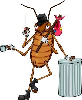 Şirinevler böcek ilaçlama profesyonel hizmet